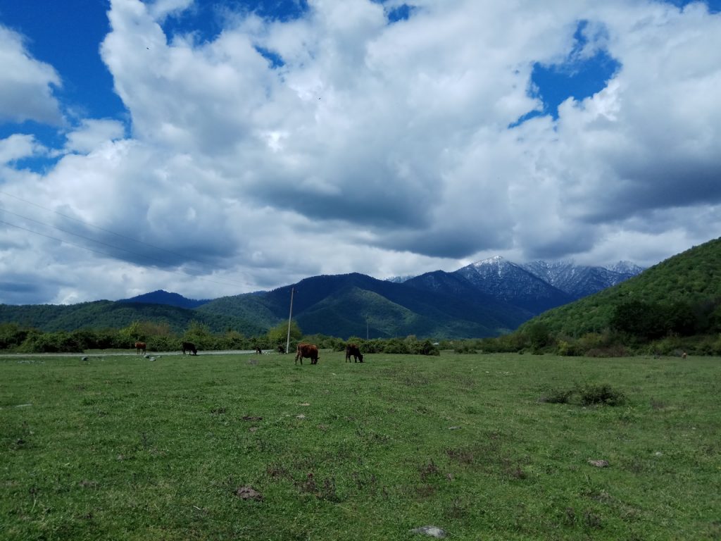 Caucasus Mountains Lagodekhi National Park